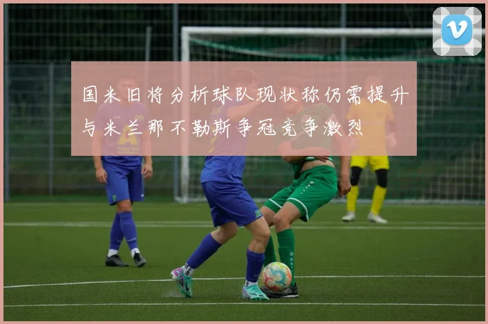 国米旧将分析球队现状称仍需提升与米兰那不勒斯争冠竞争激烈