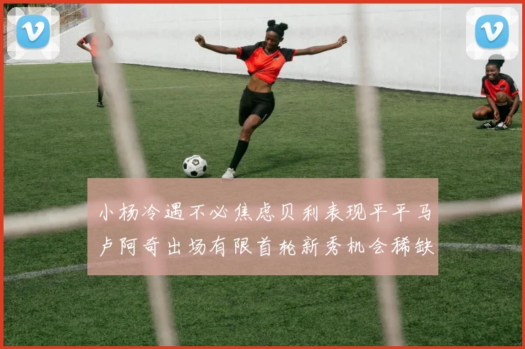 小杨冷遇不必焦虑贝利表现平平马卢阿奇出场有限首轮新秀机会稀缺