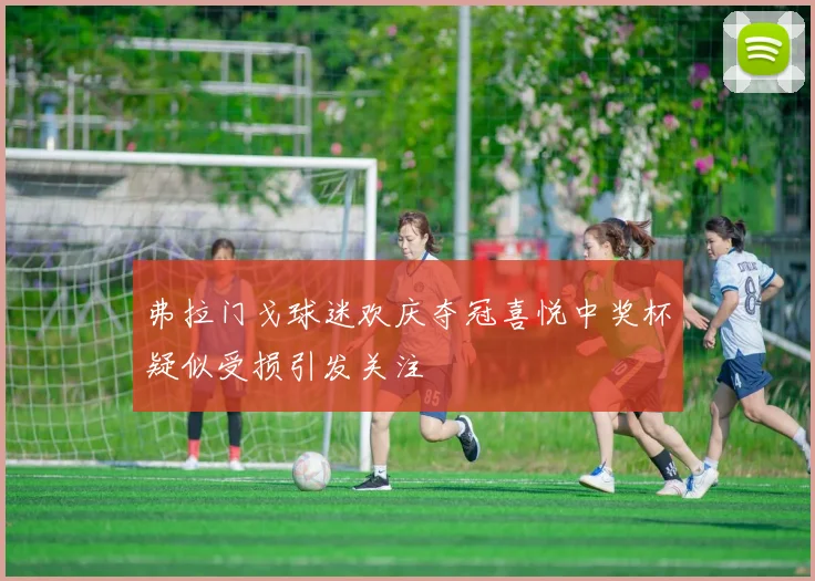 弗拉门戈球迷欢庆夺冠喜悦中奖杯疑似受损引发关注