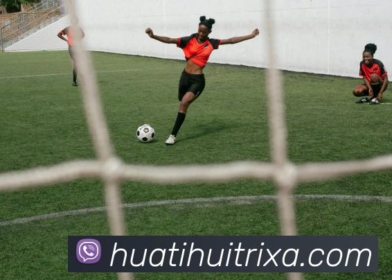 华体会发展历程