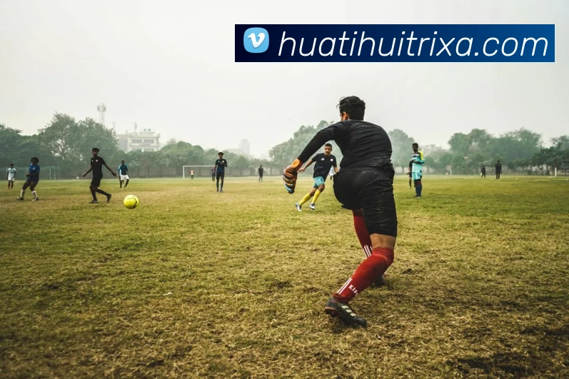 杰伦布朗称赞阿马里威廉姆斯护筐能力提升球队攻防效率