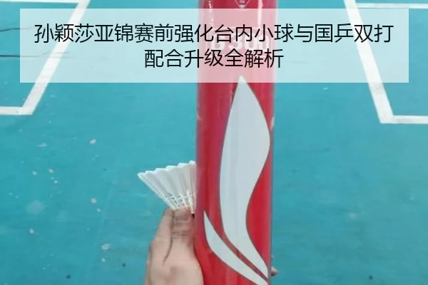 孙颖莎亚锦赛前强化台内小球与国乒双打配合升级全解析 - hth